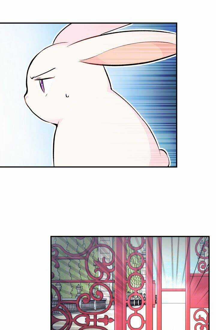 Mối Liên Kết Giữa Báo Đen Và Bé Thỏ Chapter 3 trang 59