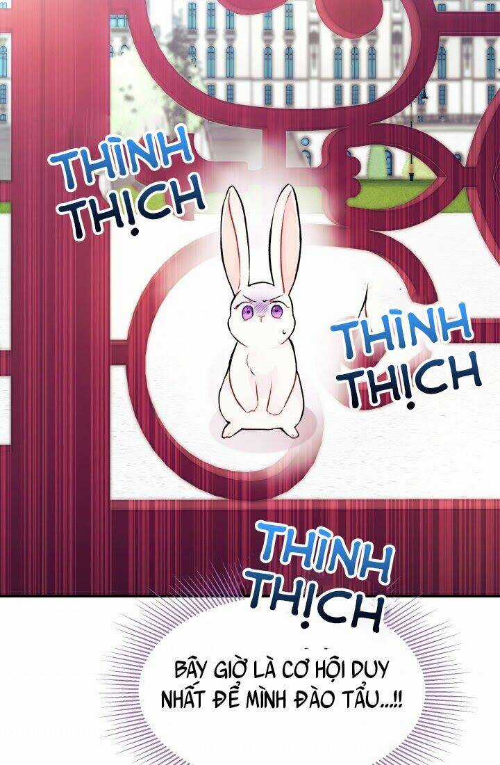 Mối Liên Kết Giữa Báo Đen Và Bé Thỏ Chapter 3 trang 61