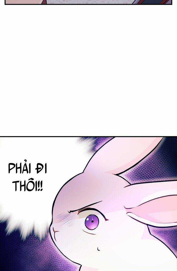 Mối Liên Kết Giữa Báo Đen Và Bé Thỏ Chapter 3 trang 63