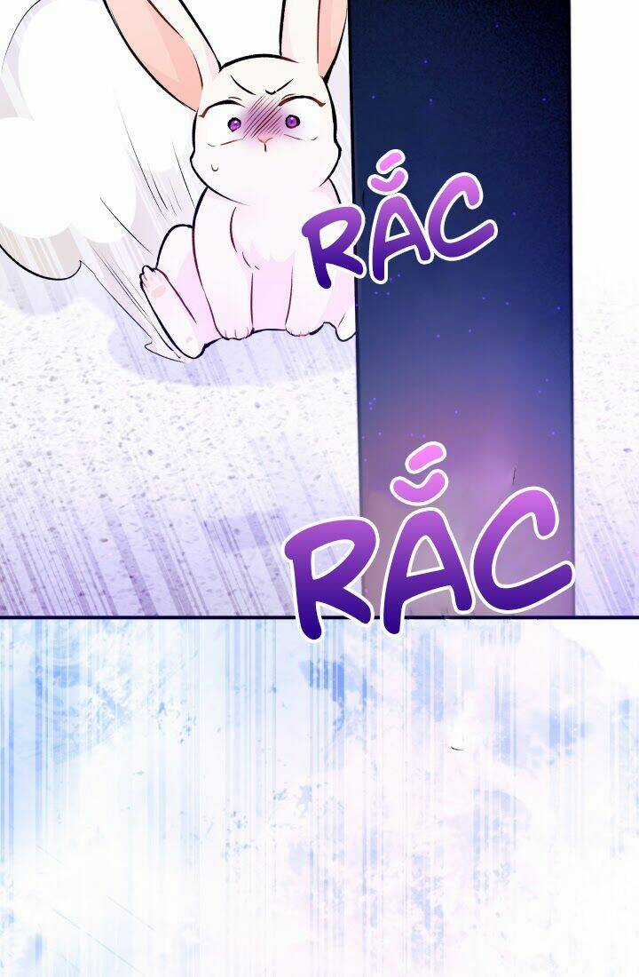 Mối Liên Kết Giữa Báo Đen Và Bé Thỏ Chapter 3 trang 72