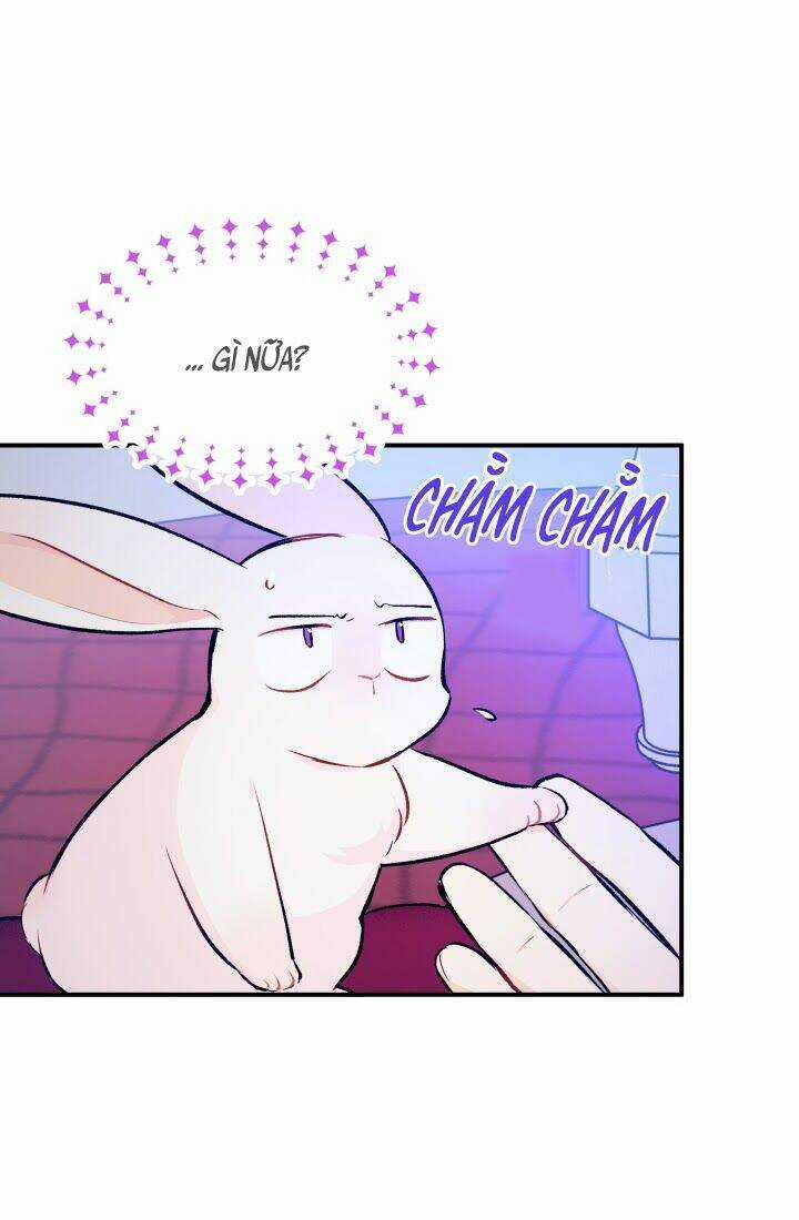 Mối Liên Kết Giữa Báo Đen Và Bé Thỏ Chapter 4 trang 24