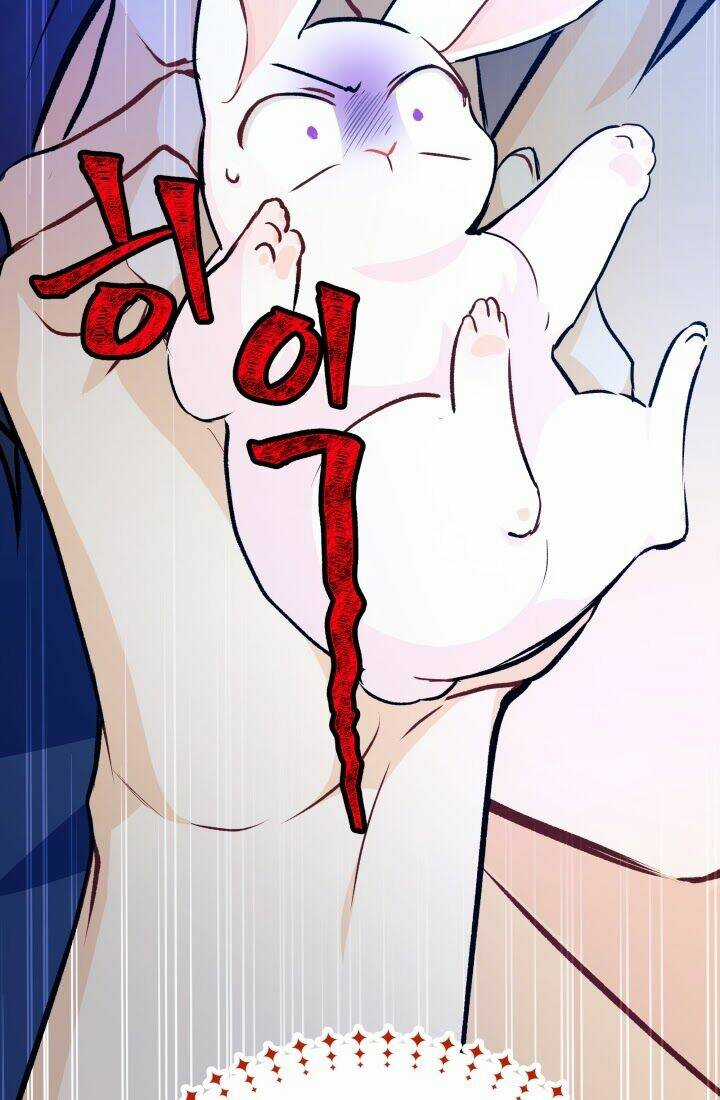 Mối Liên Kết Giữa Báo Đen Và Bé Thỏ Chapter 4 trang 46