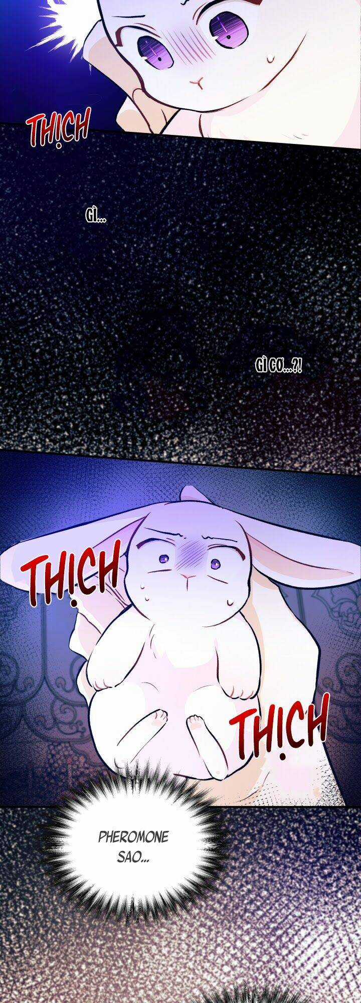 Mối Liên Kết Giữa Báo Đen Và Bé Thỏ Chapter 4 trang 54