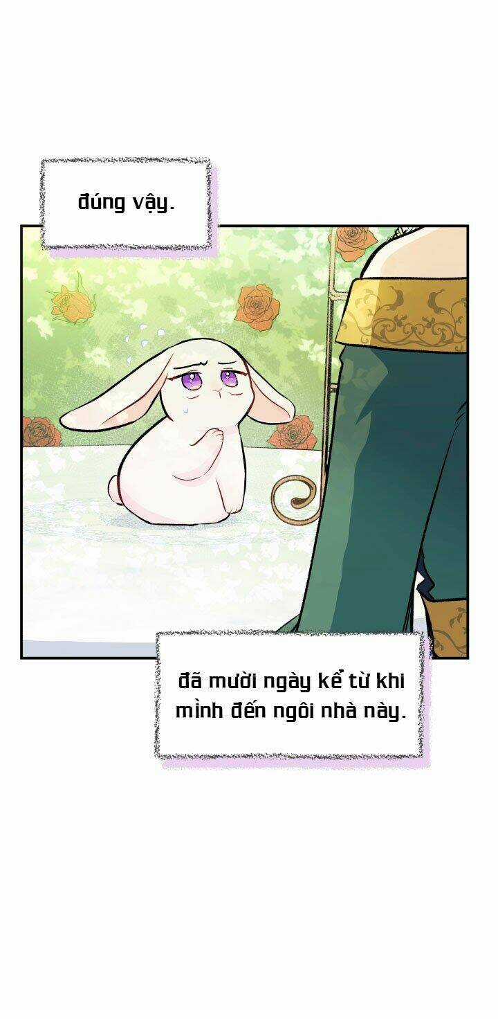 Mối Liên Kết Giữa Báo Đen Và Bé Thỏ Chapter 5 trang 12