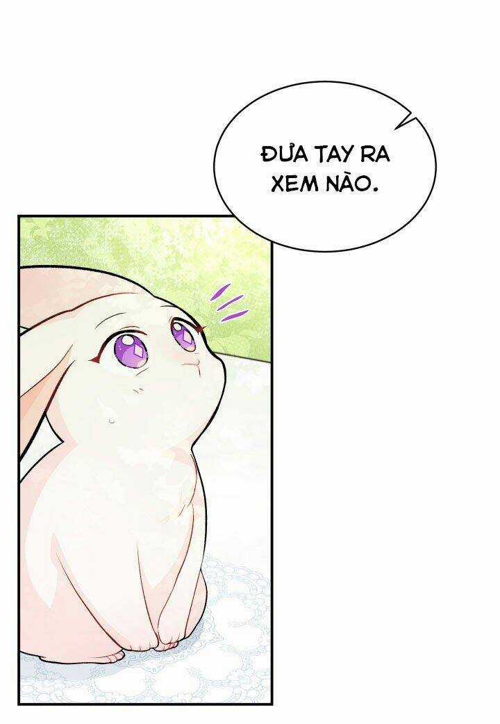 Mối Liên Kết Giữa Báo Đen Và Bé Thỏ Chapter 5 trang 14