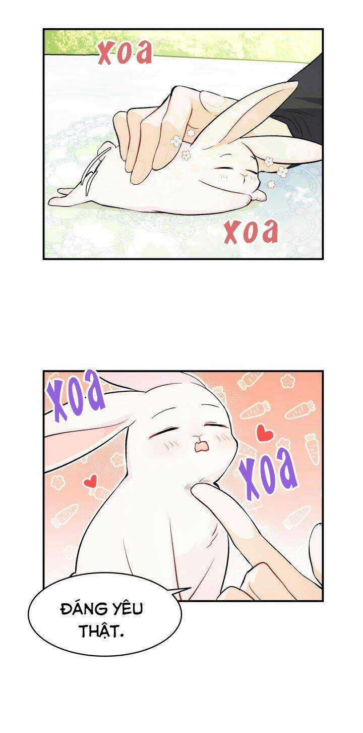 Mối Liên Kết Giữa Báo Đen Và Bé Thỏ Chapter 5 trang 19