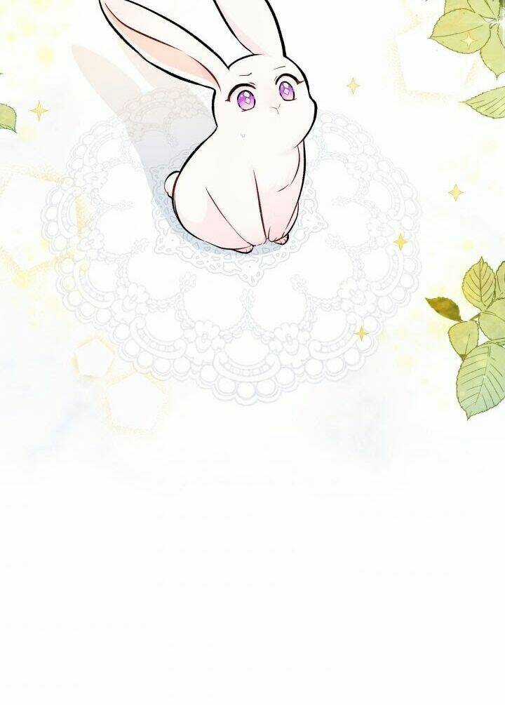 Mối Liên Kết Giữa Báo Đen Và Bé Thỏ Chapter 5 trang 2