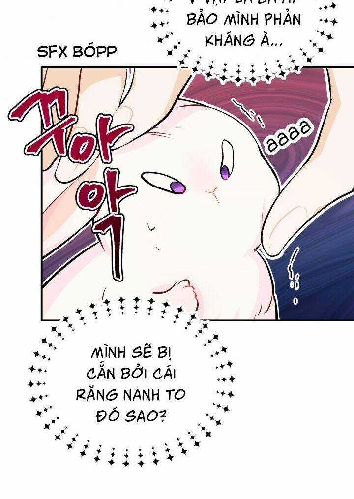 Mối Liên Kết Giữa Báo Đen Và Bé Thỏ Chapter 5 trang 29