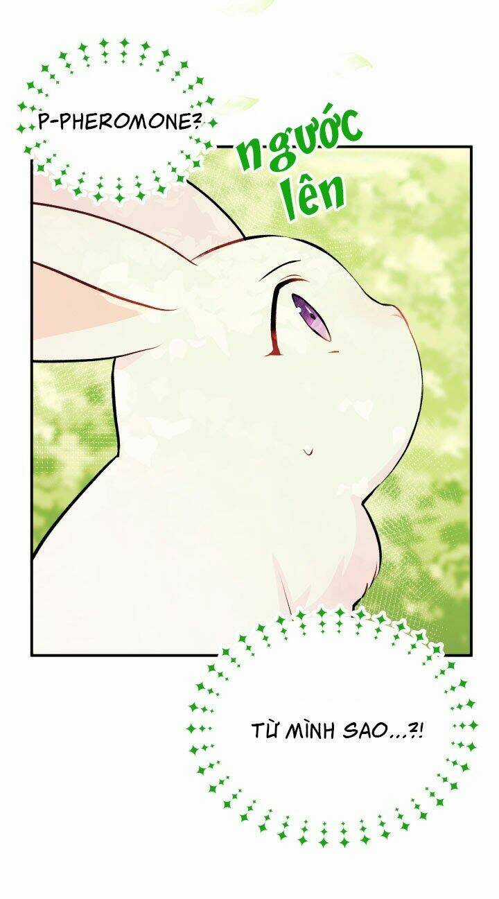 Mối Liên Kết Giữa Báo Đen Và Bé Thỏ Chapter 5 trang 35