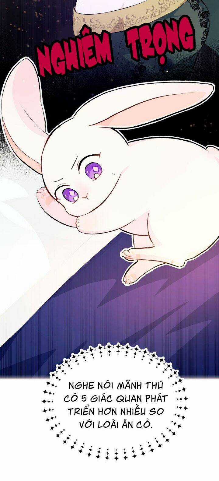 Mối Liên Kết Giữa Báo Đen Và Bé Thỏ Chapter 5 trang 39