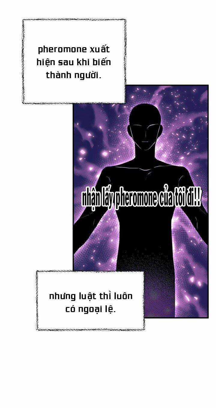 Mối Liên Kết Giữa Báo Đen Và Bé Thỏ Chapter 5 trang 41