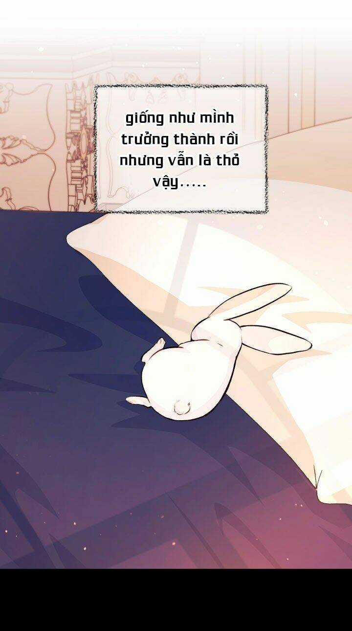 Mối Liên Kết Giữa Báo Đen Và Bé Thỏ Chapter 5 trang 42