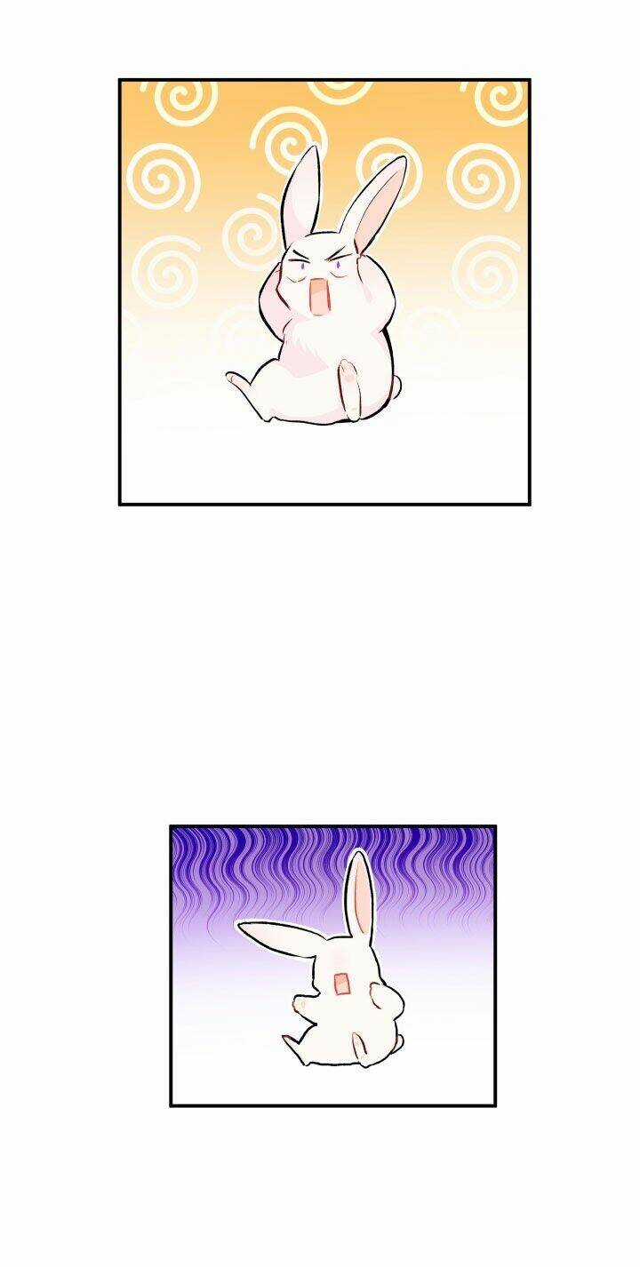 Mối Liên Kết Giữa Báo Đen Và Bé Thỏ Chapter 5 trang 48