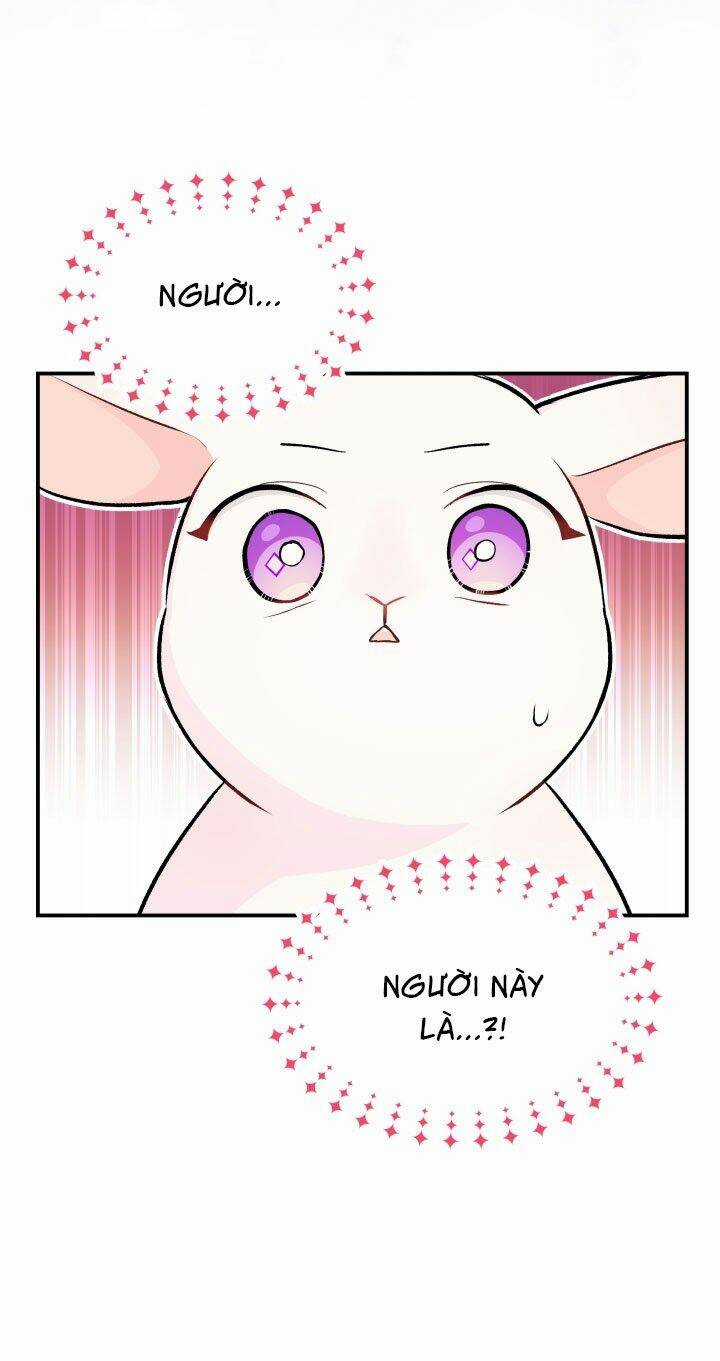 Mối Liên Kết Giữa Báo Đen Và Bé Thỏ Chapter 5 trang 6