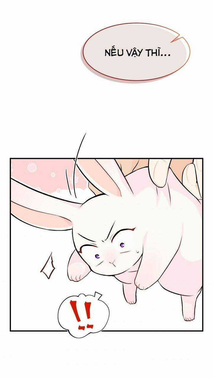 Mối Liên Kết Giữa Báo Đen Và Bé Thỏ Chapter 5 trang 60