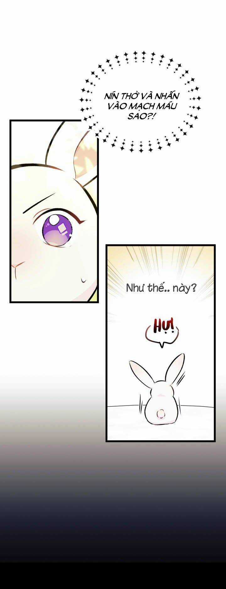 Mối Liên Kết Giữa Báo Đen Và Bé Thỏ Chapter 6 trang 13