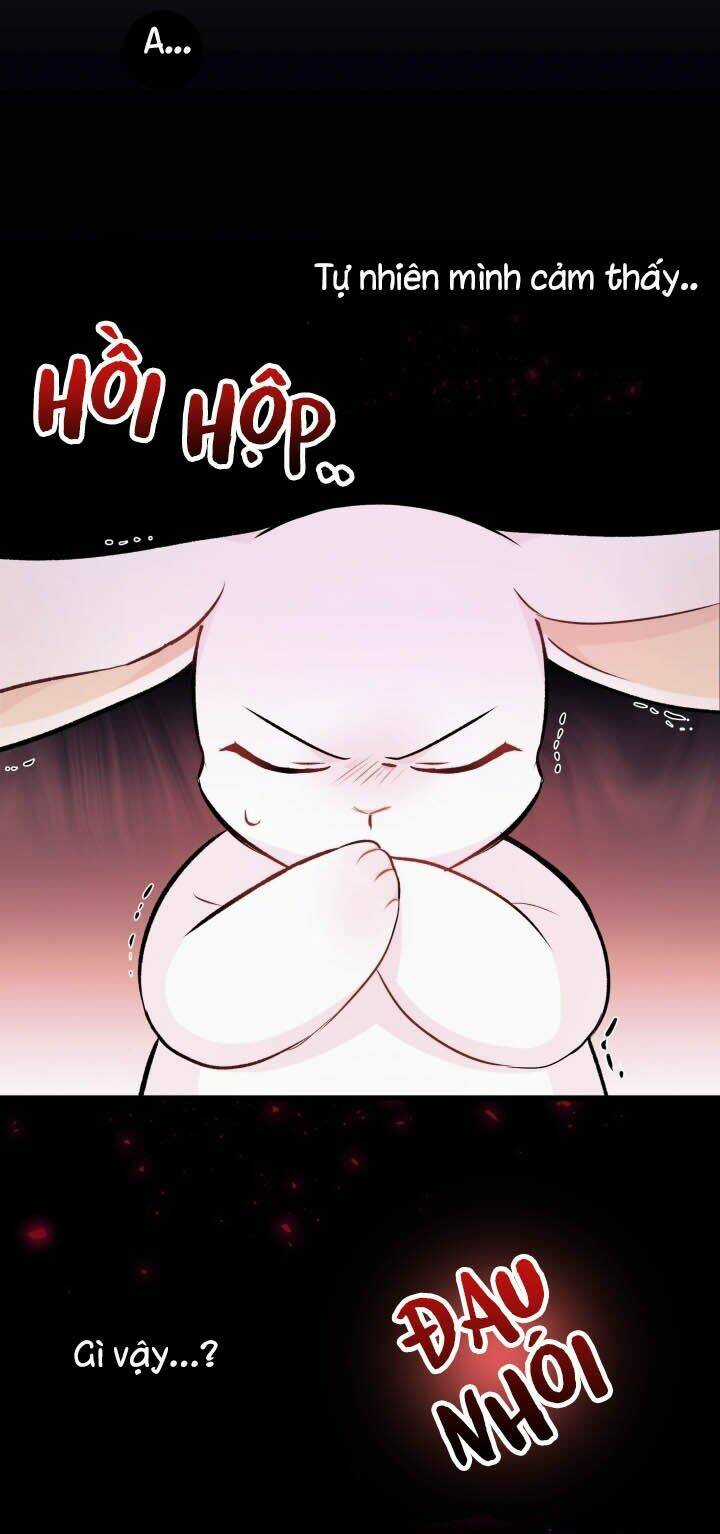 Mối Liên Kết Giữa Báo Đen Và Bé Thỏ Chapter 6 trang 14