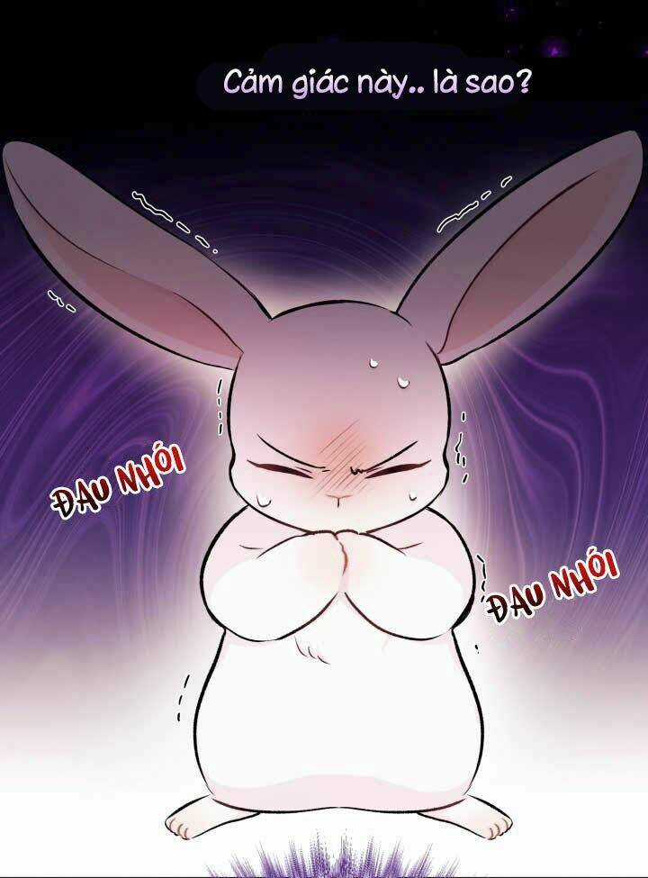 Mối Liên Kết Giữa Báo Đen Và Bé Thỏ Chapter 6 trang 15