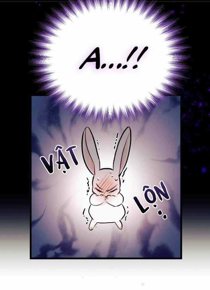 Mối Liên Kết Giữa Báo Đen Và Bé Thỏ Chapter 6 trang 16