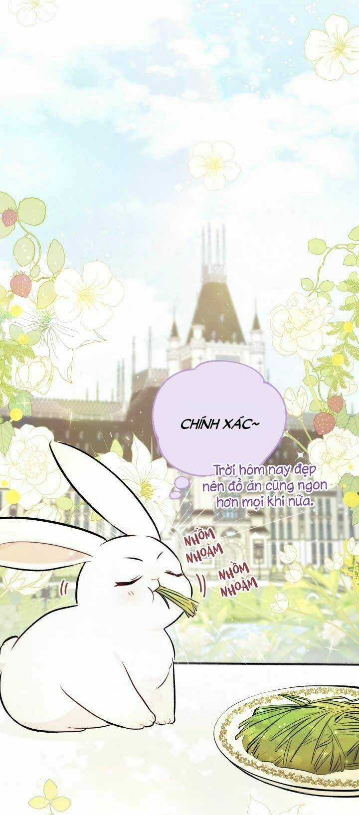 Mối Liên Kết Giữa Báo Đen Và Bé Thỏ Chapter 6 trang 2