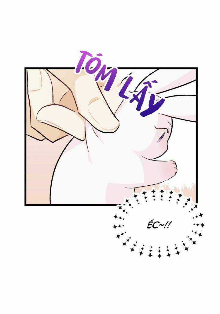 Mối Liên Kết Giữa Báo Đen Và Bé Thỏ Chapter 6 trang 48