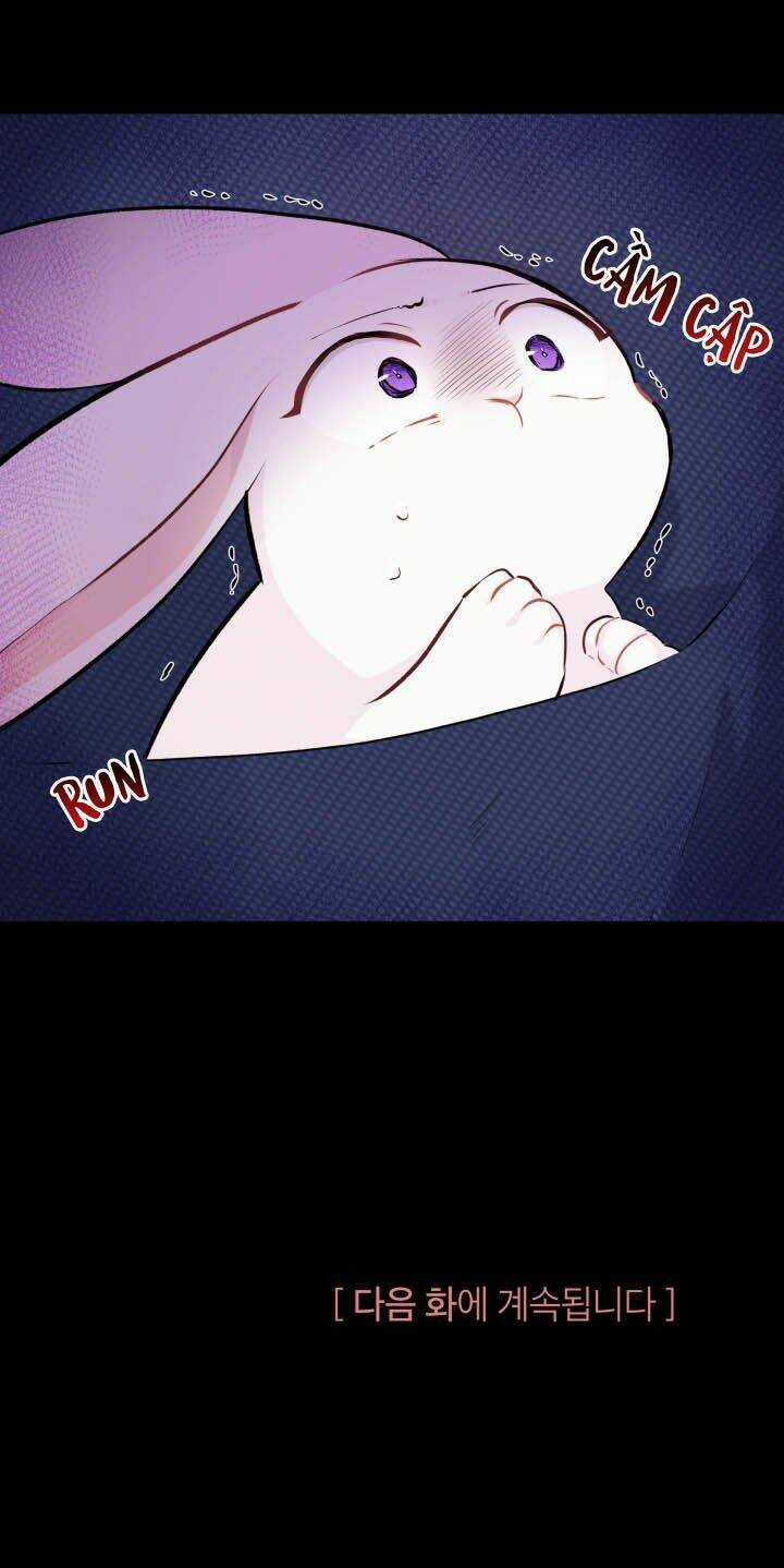 Mối Liên Kết Giữa Báo Đen Và Bé Thỏ Chapter 6 trang 63