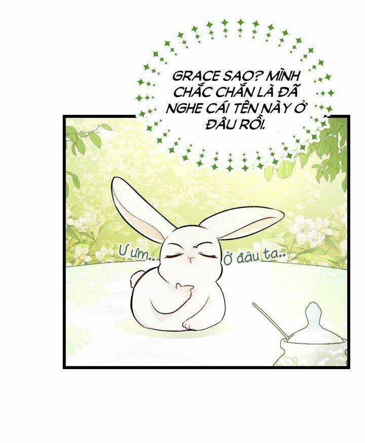 Mối Liên Kết Giữa Báo Đen Và Bé Thỏ Chapter 6 trang 9