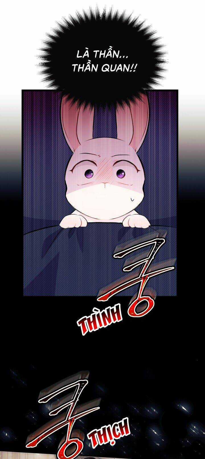 Mối Liên Kết Giữa Báo Đen Và Bé Thỏ Chapter 7 trang 16