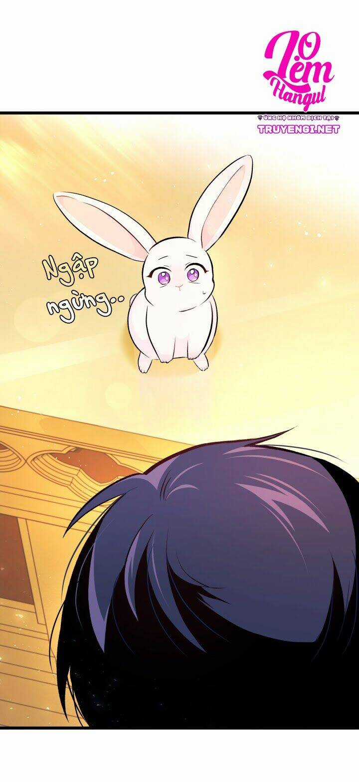 Mối Liên Kết Giữa Báo Đen Và Bé Thỏ Chapter 7 trang 19