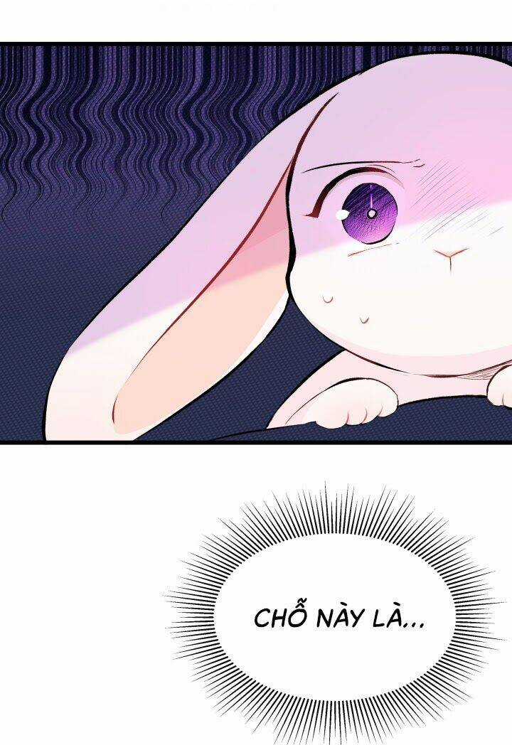 Mối Liên Kết Giữa Báo Đen Và Bé Thỏ Chapter 7 trang 3