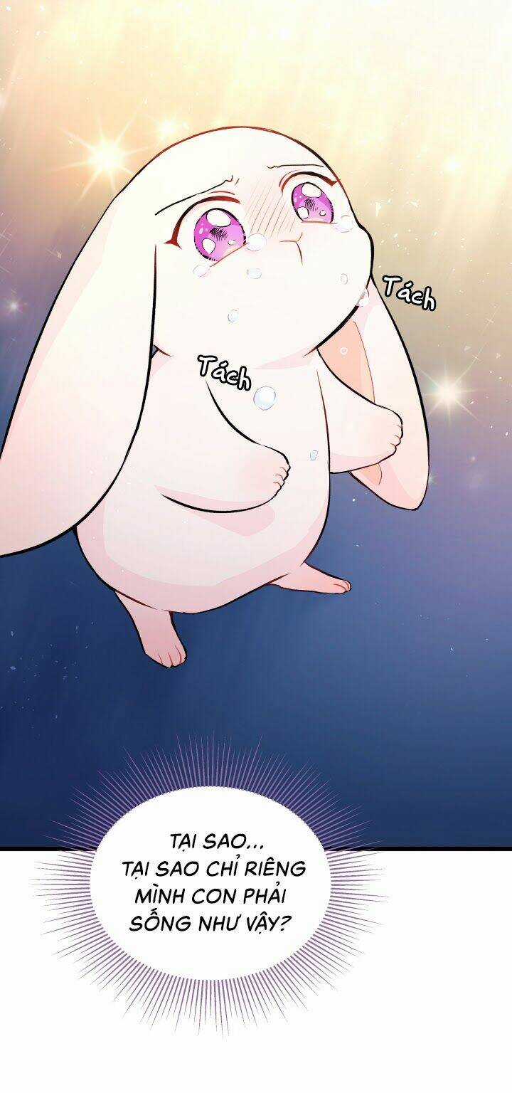 Mối Liên Kết Giữa Báo Đen Và Bé Thỏ Chapter 7 trang 39