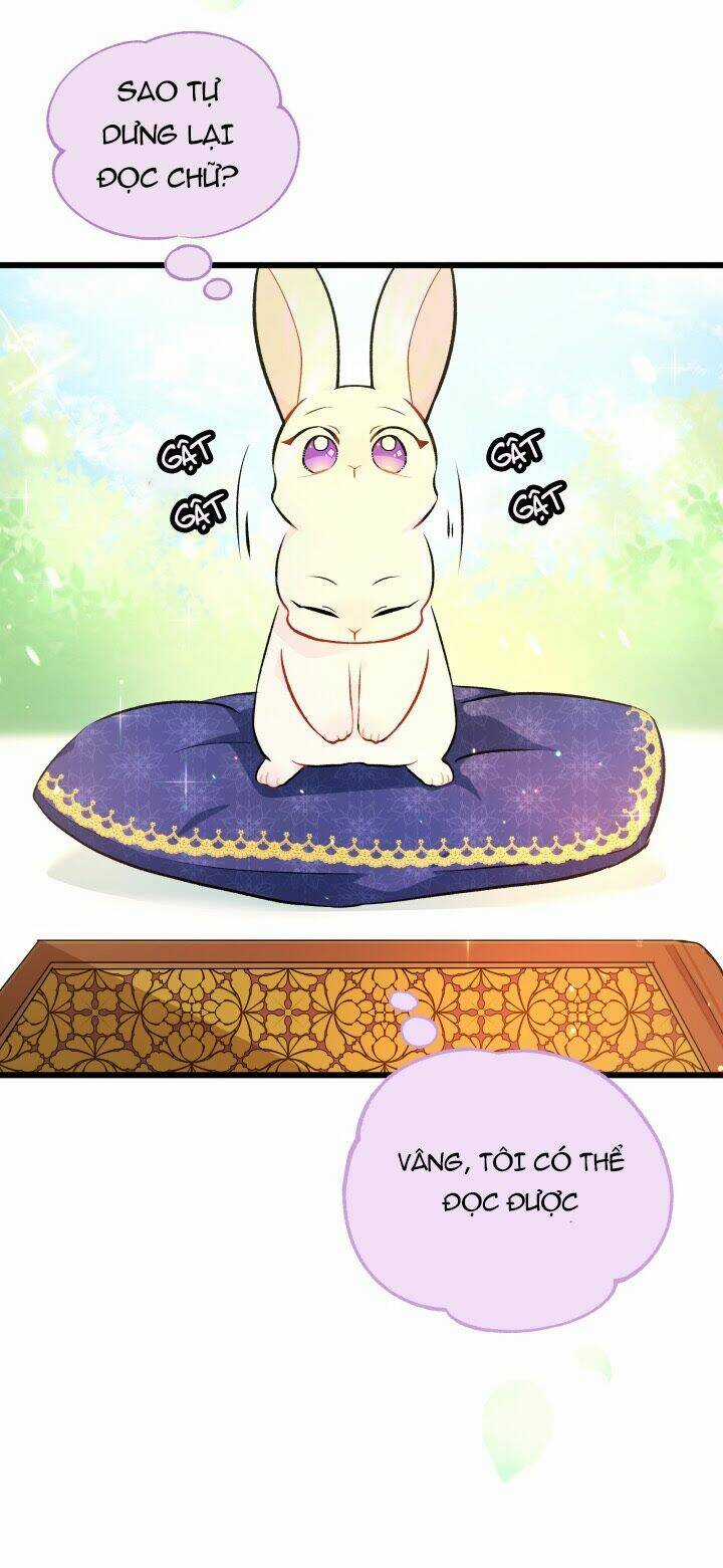 Mối Liên Kết Giữa Báo Đen Và Bé Thỏ Chapter 8 trang 11