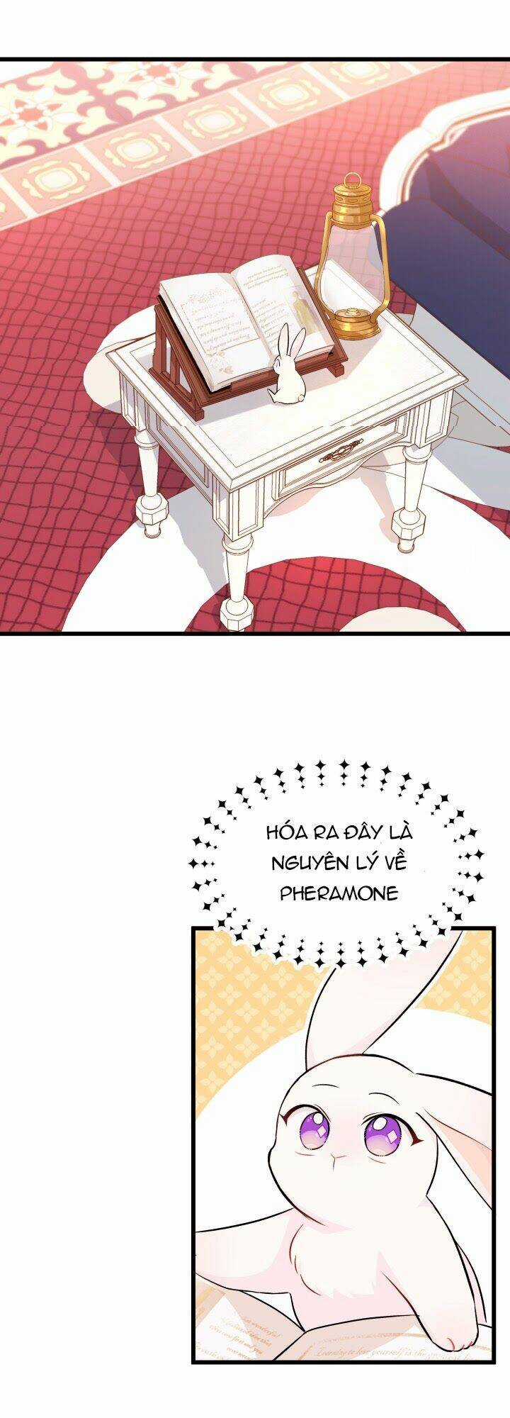 Mối Liên Kết Giữa Báo Đen Và Bé Thỏ Chapter 8 trang 15