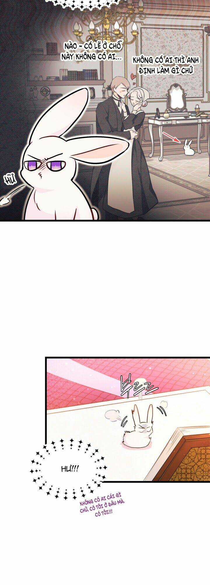 Mối Liên Kết Giữa Báo Đen Và Bé Thỏ Chapter 8 trang 21