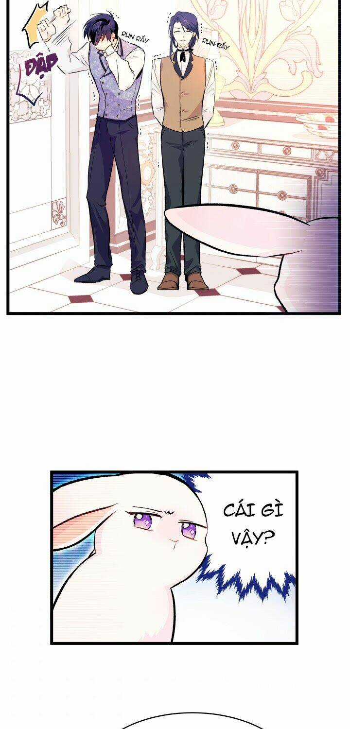 Mối Liên Kết Giữa Báo Đen Và Bé Thỏ Chapter 8 trang 24