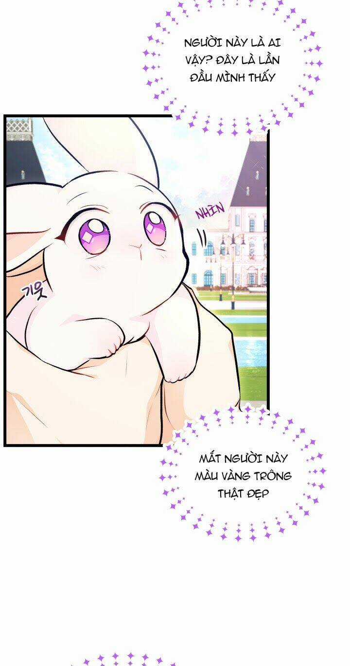 Mối Liên Kết Giữa Báo Đen Và Bé Thỏ Chapter 8 trang 38