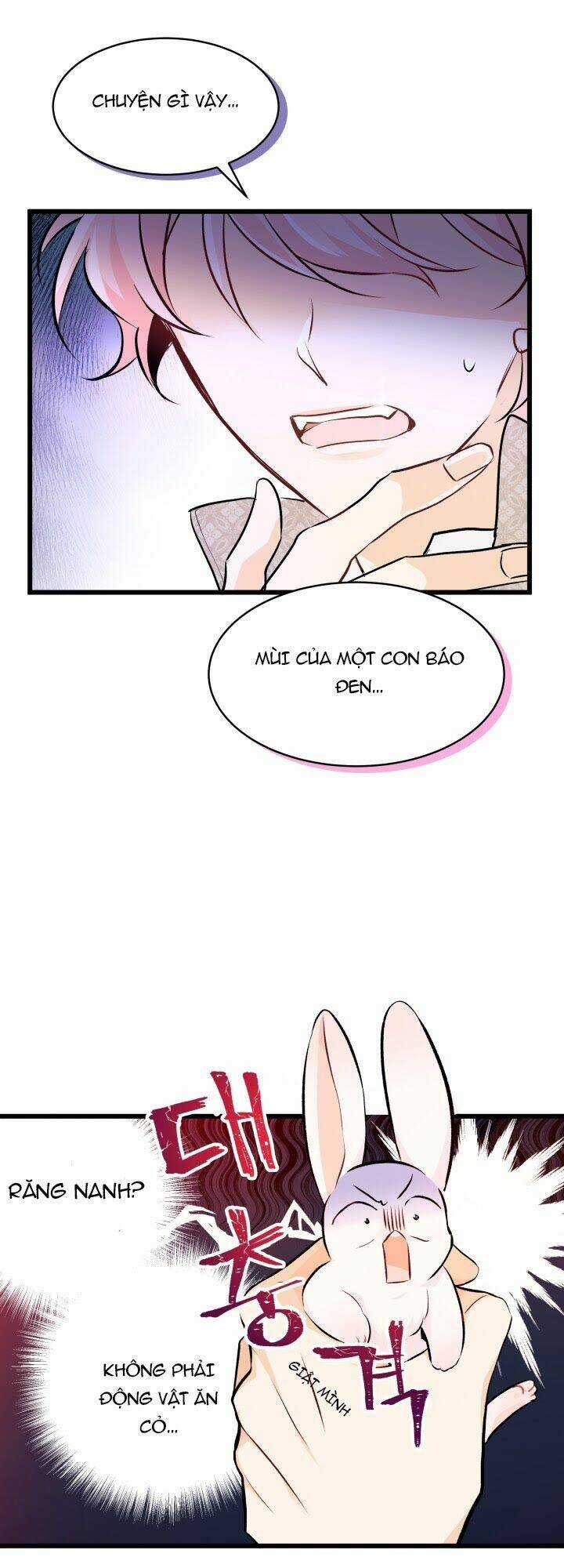 Mối Liên Kết Giữa Báo Đen Và Bé Thỏ Chapter 8 trang 40