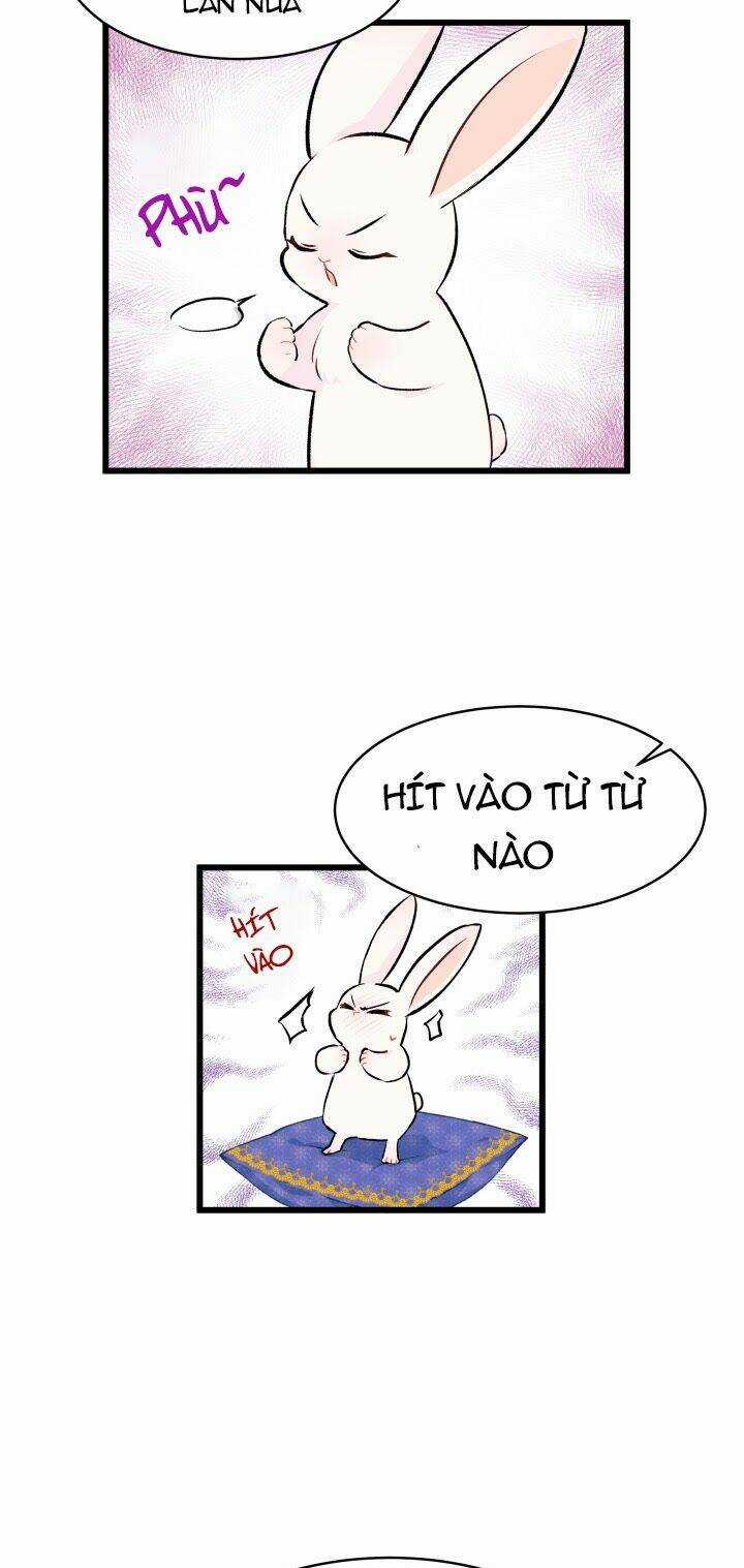 Mối Liên Kết Giữa Báo Đen Và Bé Thỏ Chapter 8 trang 5