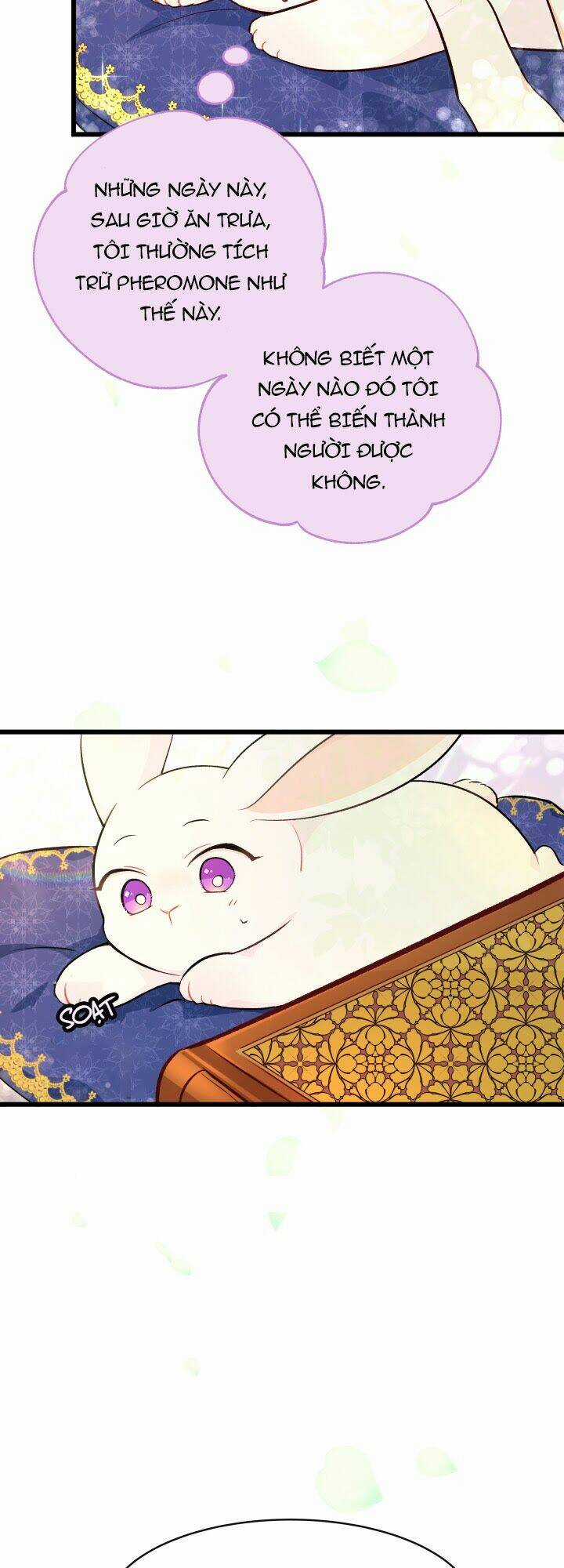 Mối Liên Kết Giữa Báo Đen Và Bé Thỏ Chapter 8 trang 9