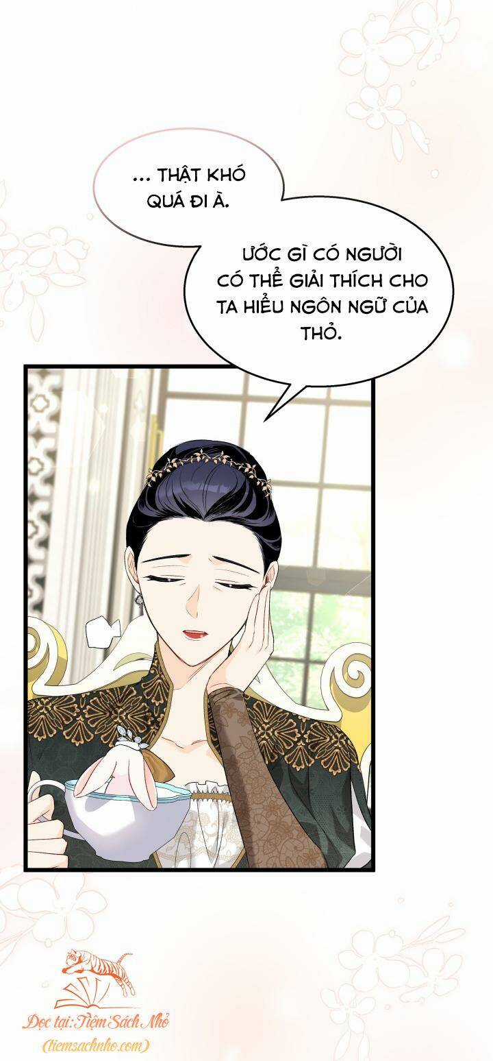 Mối Liên Kết Giữa Báo Đen Và Bé Thỏ Chapter 84 trang 11