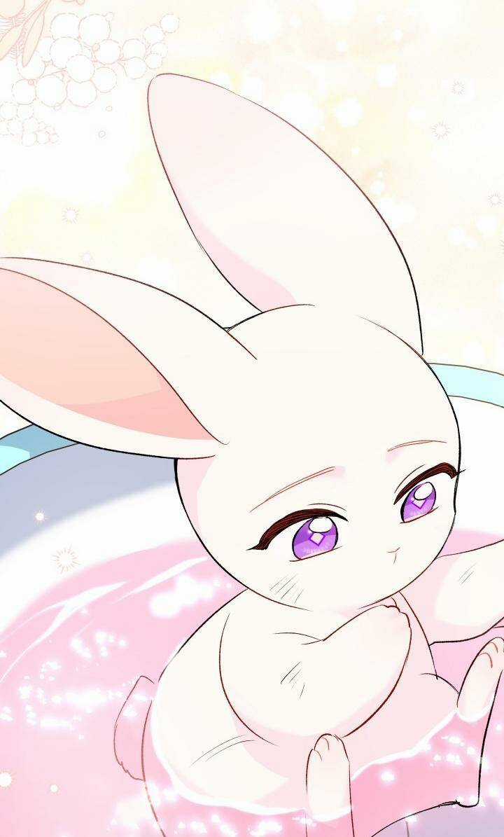 Mối Liên Kết Giữa Báo Đen Và Bé Thỏ Chapter 84 trang 26