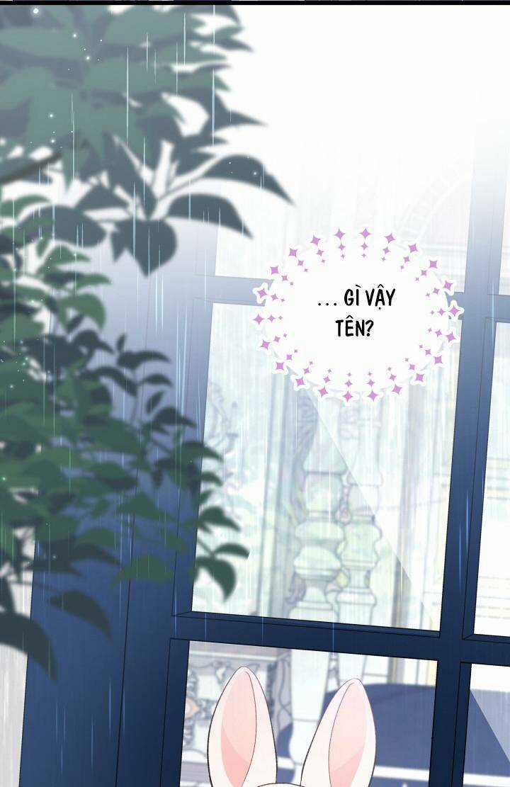 Mối Liên Kết Giữa Báo Đen Và Bé Thỏ Chapter 84 trang 68