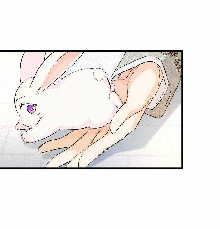 Mối Liên Kết Giữa Báo Đen Và Bé Thỏ Chapter 9 trang 17