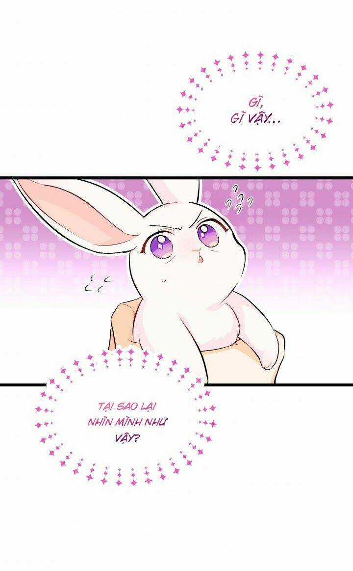 Mối Liên Kết Giữa Báo Đen Và Bé Thỏ Chapter 9 trang 2