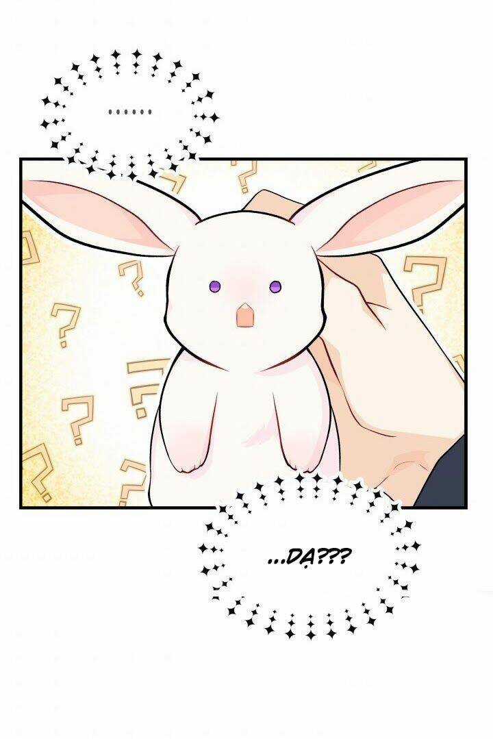 Mối Liên Kết Giữa Báo Đen Và Bé Thỏ Chapter 9 trang 39