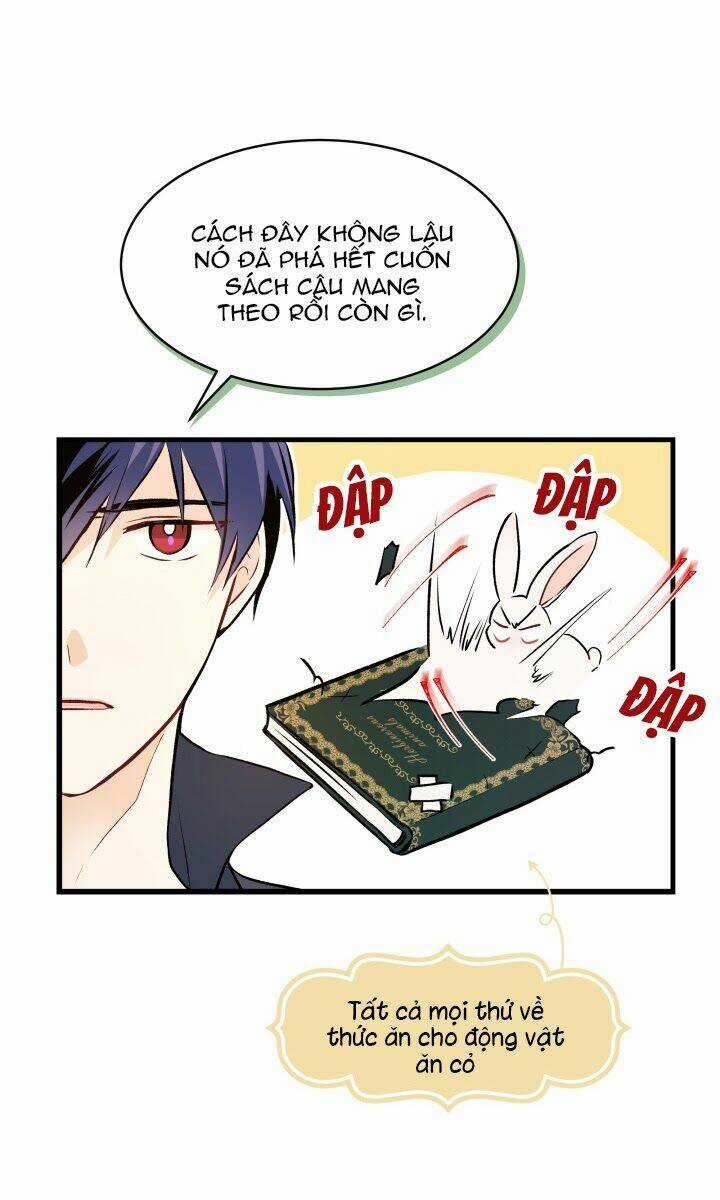 Mối Liên Kết Giữa Báo Đen Và Bé Thỏ Chapter 9 trang 67