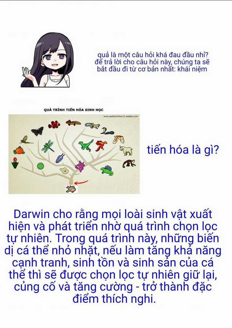 Mọi người đều đến từ thế giới khác, ngoại trừ tôi!? Chapter 7.5 trang 4