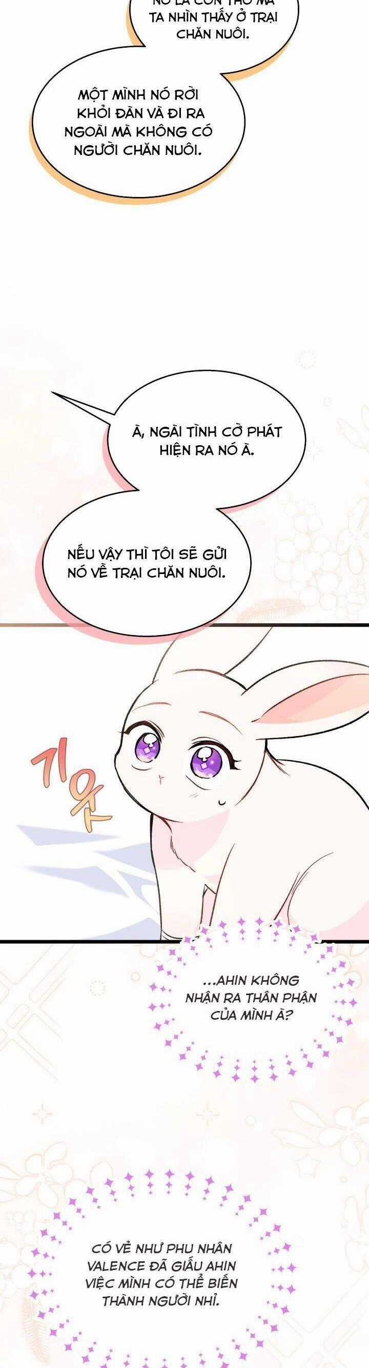 Mối Quan Hệ Cộng Sinh Giữa Báo Đen Và Thỏ Trắng Chapter 128.2 trang 1