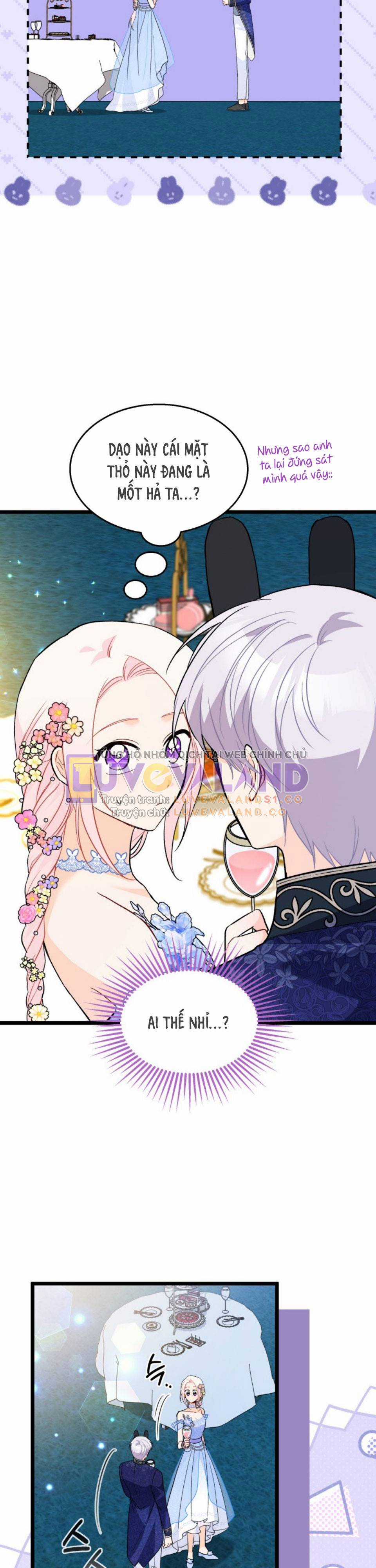 Mối Quan Hệ Cộng Sinh Giữa Báo Đen Và Thỏ Trắng Chapter 147 trang 19
