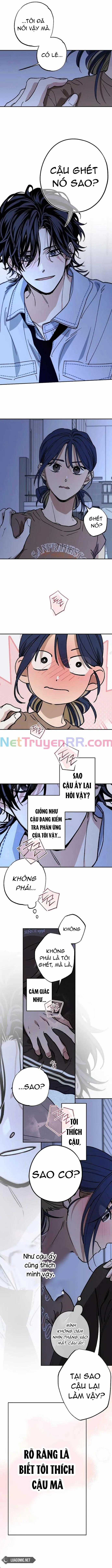Mối Quan Hệ Đặc Biệt Chapter 37 trang 8